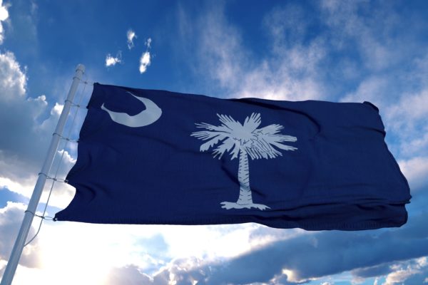 South Carolina flag on a flagpole waving in the wind, blue sky background.