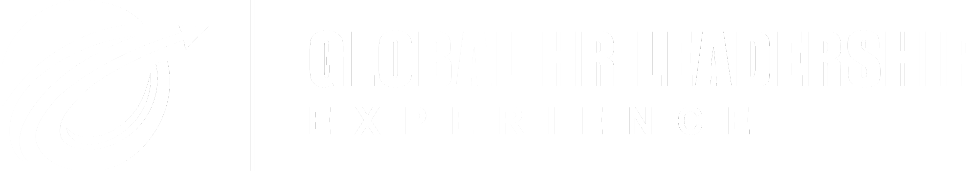 Global HR Leadership Experience